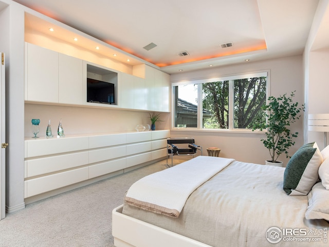 carpeted bedroom featuring a tray ceiling