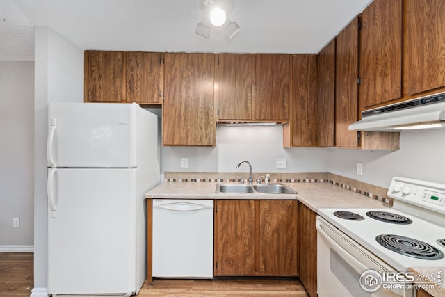 kitchen with light hardwood / wood-style flooring, sink, white appliances, and ceiling fan