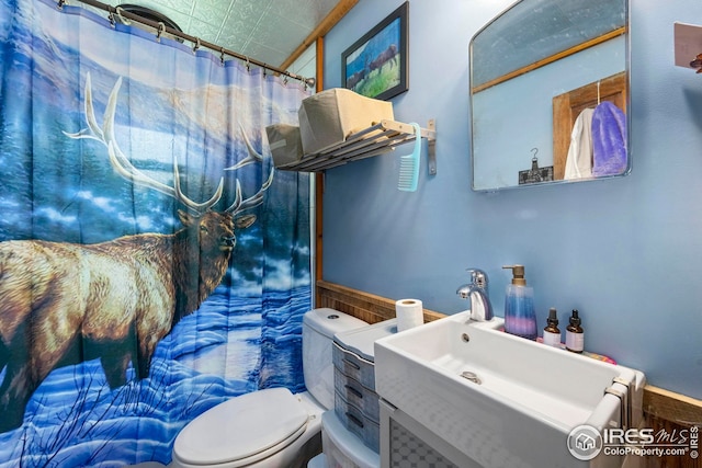 bathroom with toilet, curtained shower, and vanity