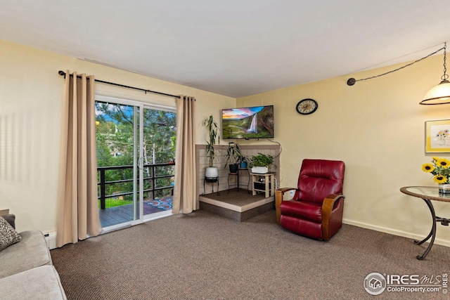 living area with carpet floors and a baseboard heating unit