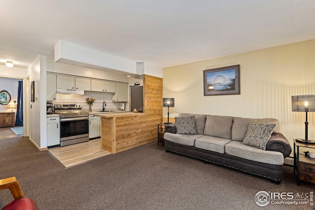 living room featuring sink and light hardwood / wood-style floors