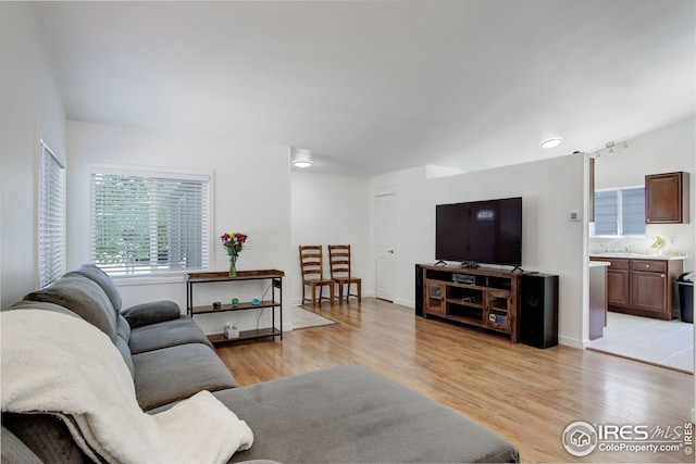 living room featuring light hardwood / wood-style flooring