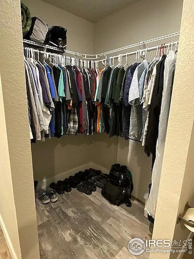 walk in closet featuring wood-type flooring