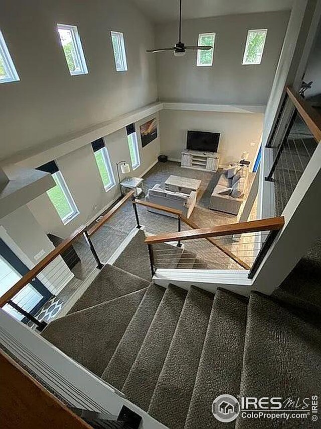 stairs with ceiling fan, carpet floors, and a towering ceiling