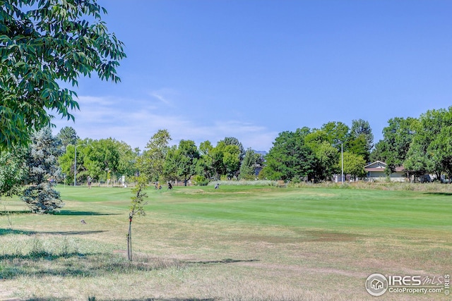 view of home's community with a lawn