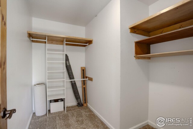 spacious closet with carpet floors