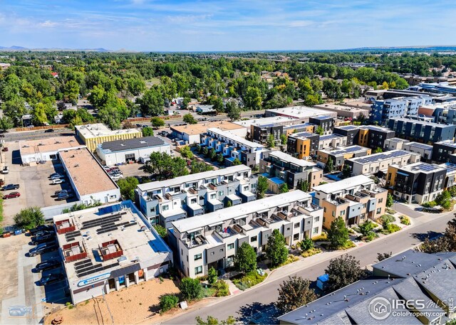 bird's eye view