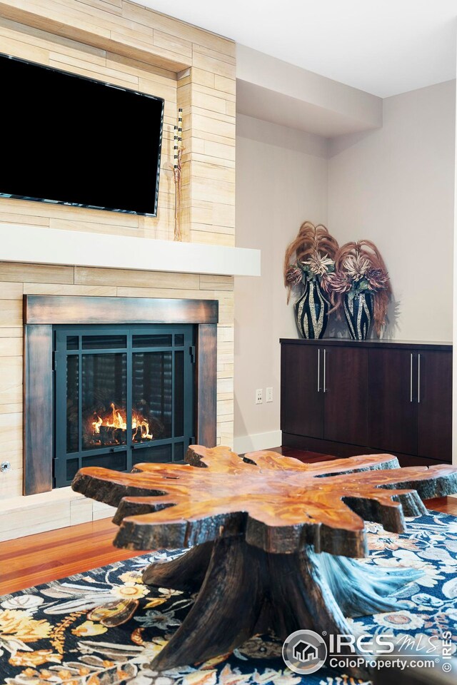 1155 Canyon Blvd Unit 205, Boulder, CO 80302 - room details with baseboards, wood finished floors, and a large fireplace