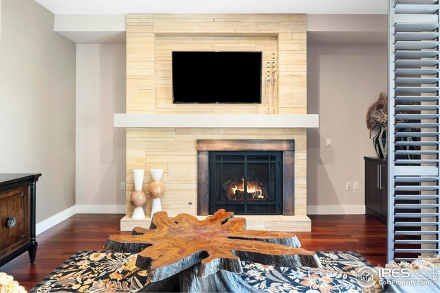 1155 Canyon Blvd Unit 205, Boulder, CO 80302 - interior details with baseboards, wood finished floors, and a large fireplace