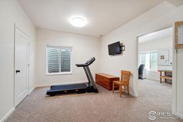 workout room with light colored carpet