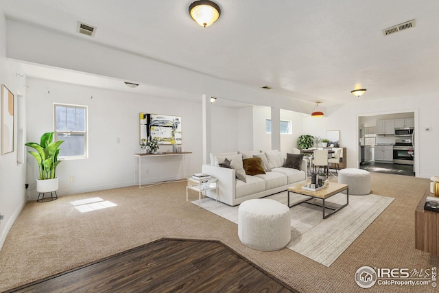 view of carpeted living room