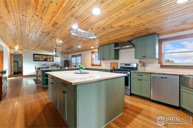 kitchen with a healthy amount of sunlight, green cabinets, and stainless steel appliances