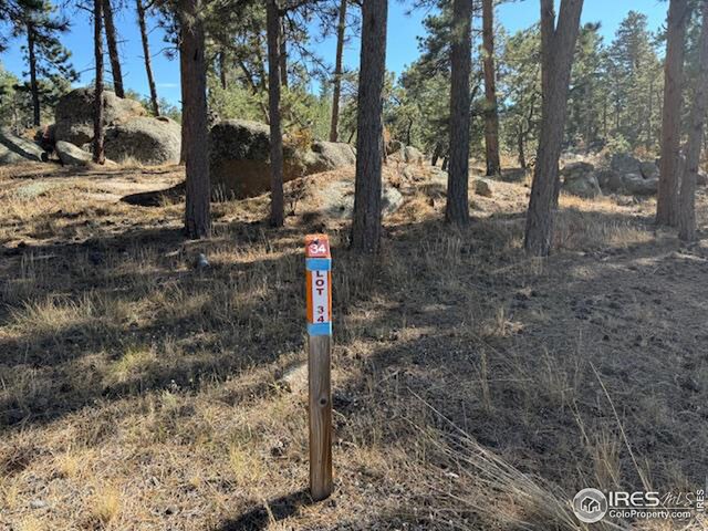 2221 E Fox Acres Dr E, Red Feather Lakes, CO 80545