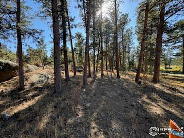 2221 E Fox Acres Dr E, Red Feather Lakes, CO 80545