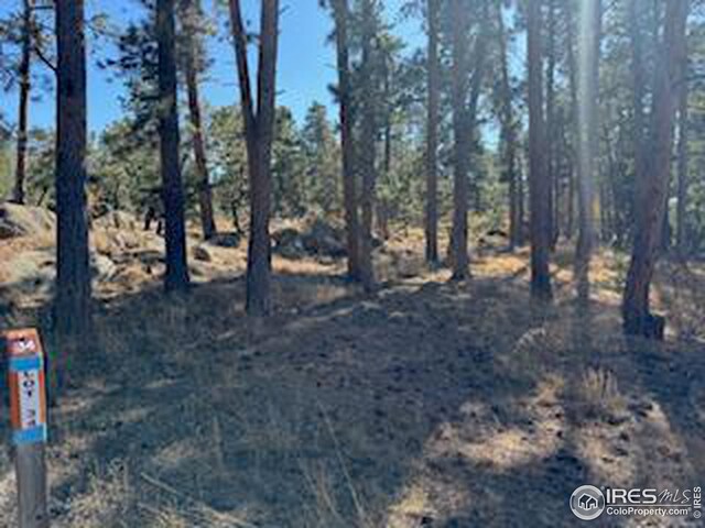 2221 E Fox Acres Dr E, Red Feather Lakes, CO 80545
