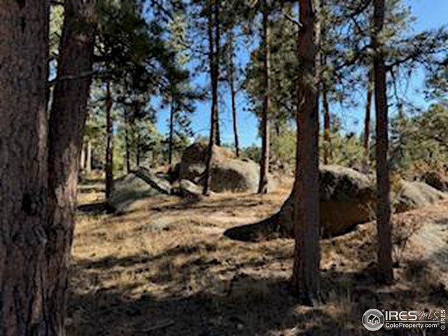 2221 E Fox Acres Dr E, Red Feather Lakes, CO 80545