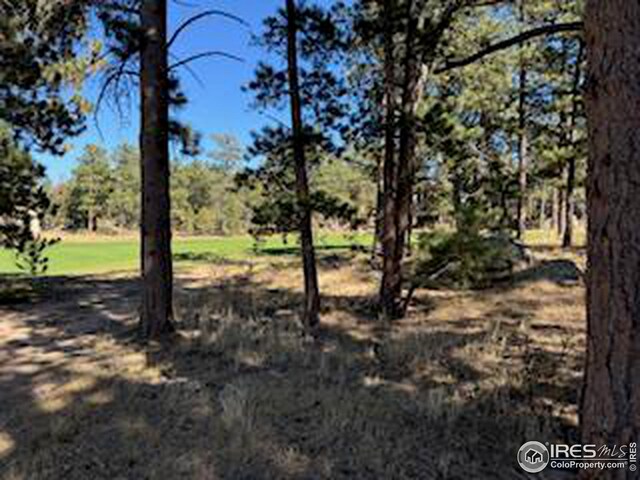 2221 E Fox Acres Dr E, Red Feather Lakes, CO 80545