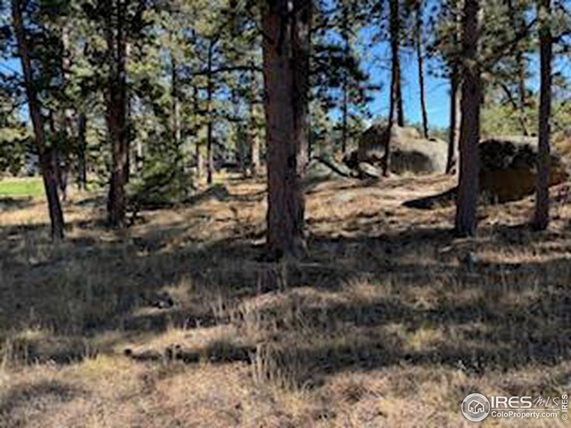 2221 E Fox Acres Dr E, Red Feather Lakes, CO 80545