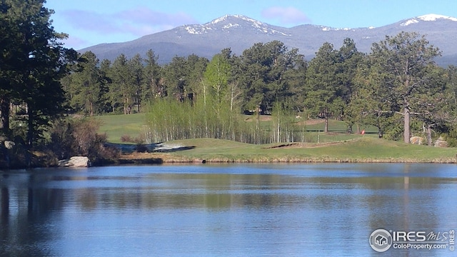 2221 E Fox Acres Dr E, Red Feather Lakes, CO 80545