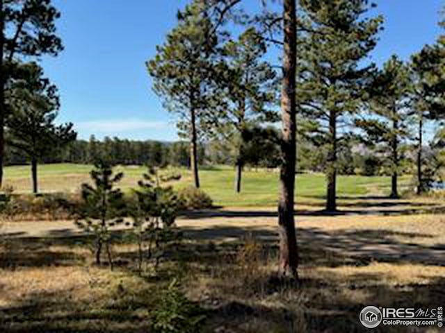 Listing photo 3 for 2221 E Fox Acres Dr E, Red Feather Lakes CO 80545