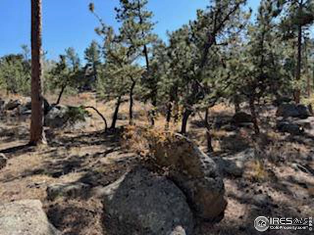 2221 E Fox Acres Dr E, Red Feather Lakes, CO 80545