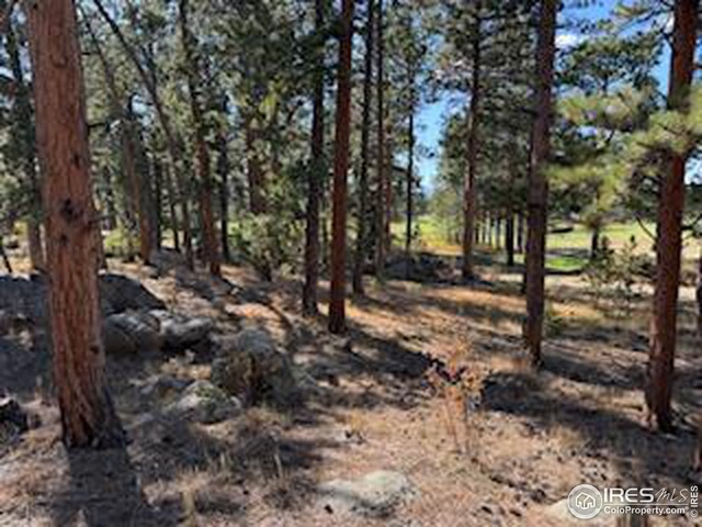 2221 E Fox Acres Dr E, Red Feather Lakes, CO 80545