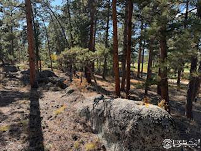 2221 E Fox Acres Dr E, Red Feather Lakes, CO 80545