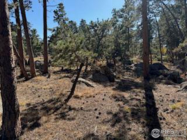 2221 E Fox Acres Dr E, Red Feather Lakes, CO 80545