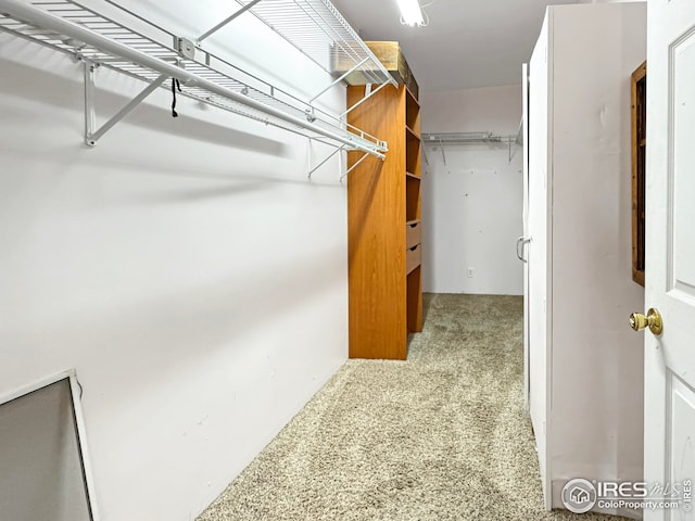 spacious closet with carpet flooring