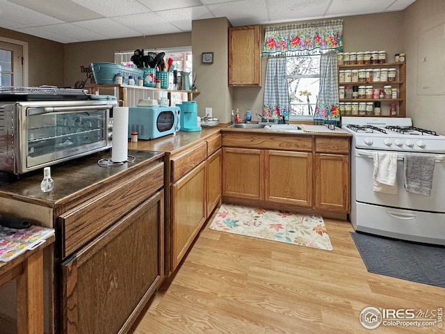 kitchen with a sink, a paneled ceiling, a toaster, and white appliances