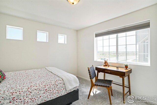 bedroom with carpet and multiple windows