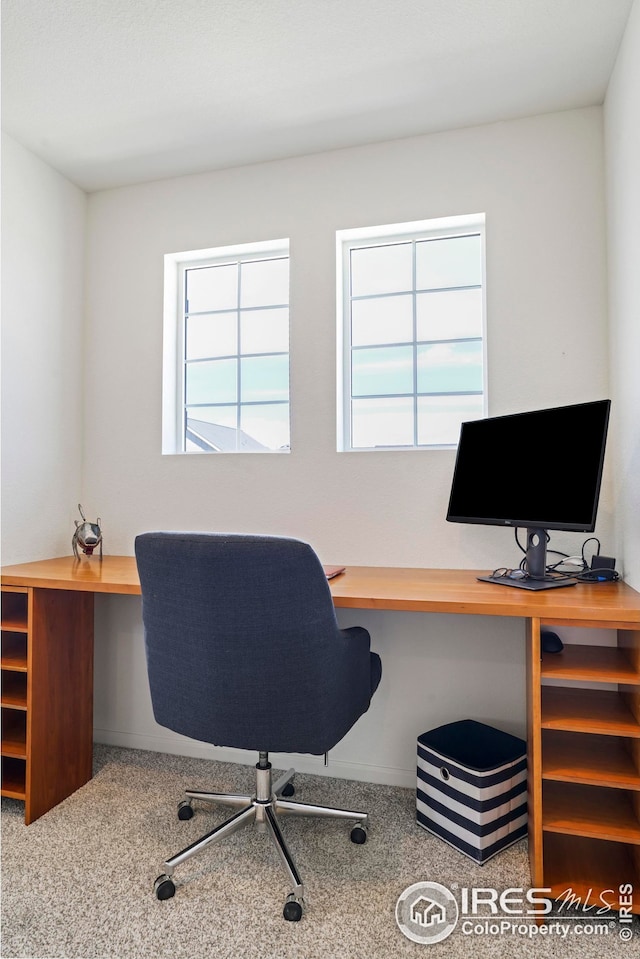 view of carpeted office space