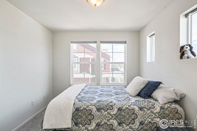 bedroom with carpet