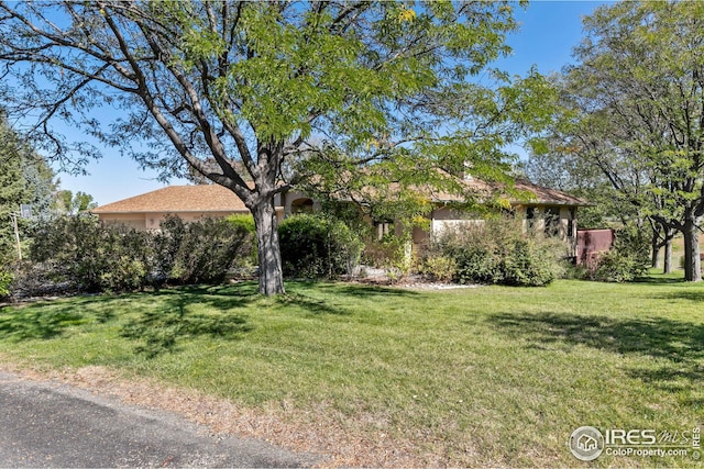 view of front of house with a front yard