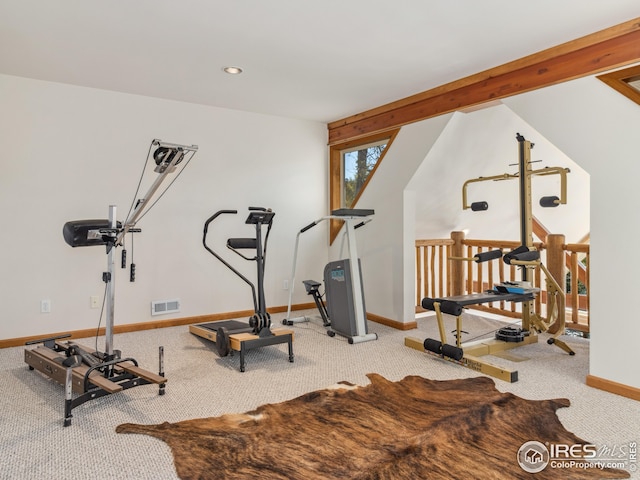 exercise room featuring carpet floors