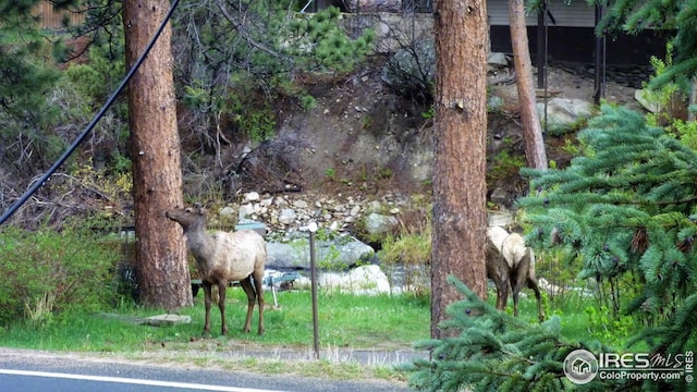 view of nature