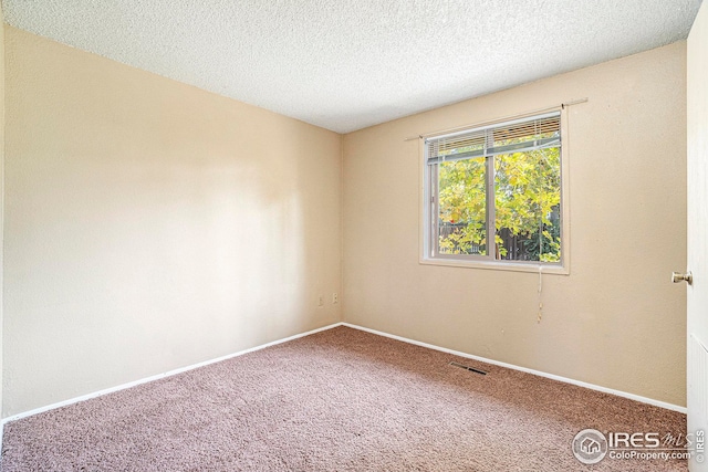 empty room with carpet and a textured ceiling