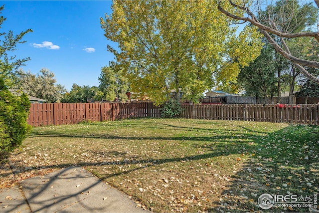 view of yard featuring a patio area