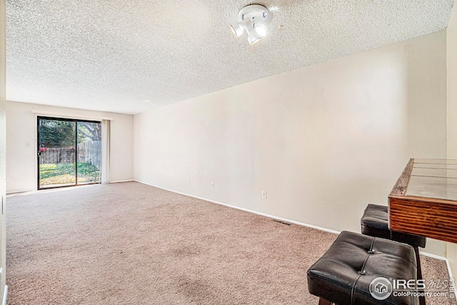 interior space with carpet floors and a textured ceiling