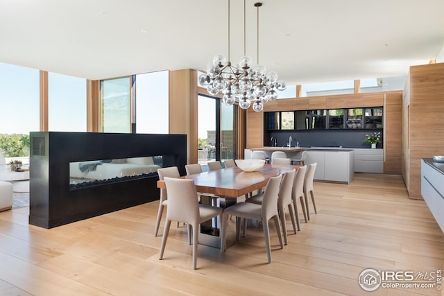 dining room featuring expansive windows, an inviting chandelier, and light hardwood / wood-style flooring