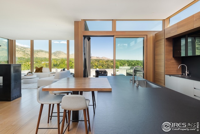 dining space featuring plenty of natural light, light wood-type flooring, sink, and a mountain view