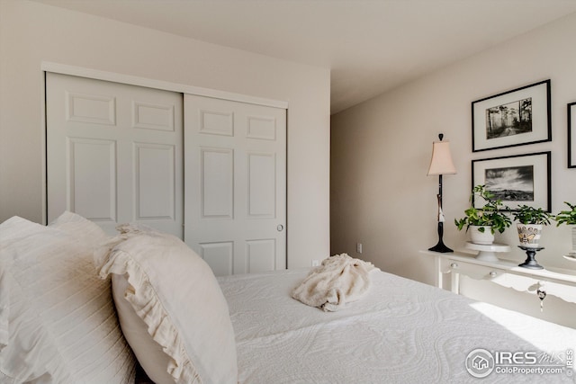 1135 Hummingbird Cir, Longmont, CO 80501 - bedroom with a closet