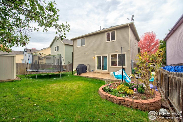 rear view of property with a yard and a trampoline