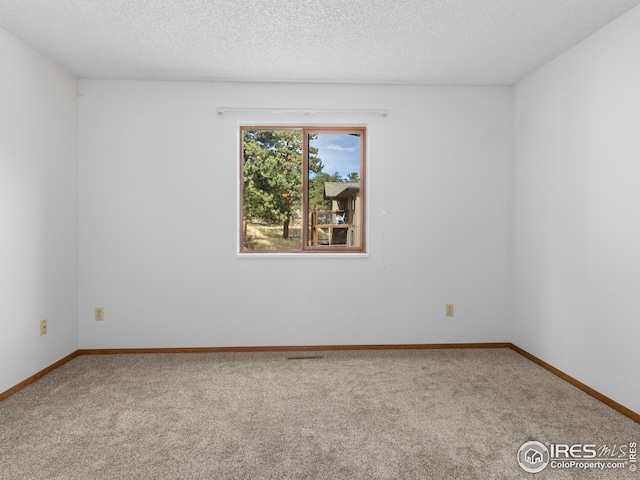 empty room with carpet and a textured ceiling