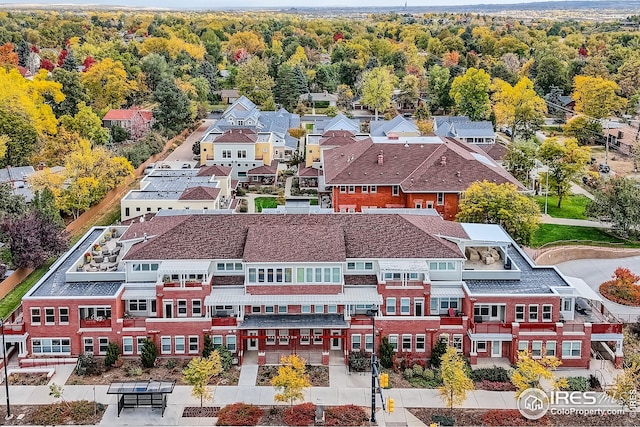 aerial view