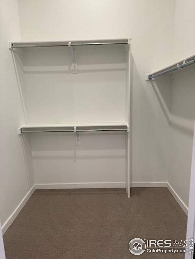 spacious closet with dark carpet