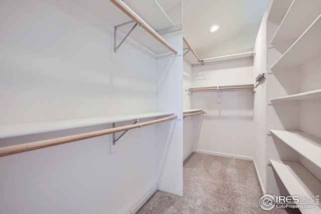 spacious closet with light carpet