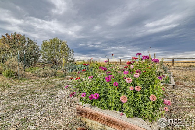 view of yard featuring a rural view and fence