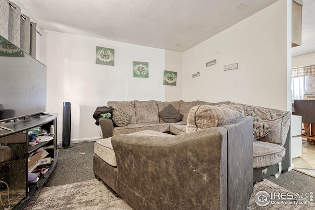 living room featuring carpet flooring