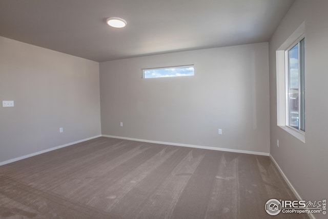 spare room featuring plenty of natural light and carpet floors